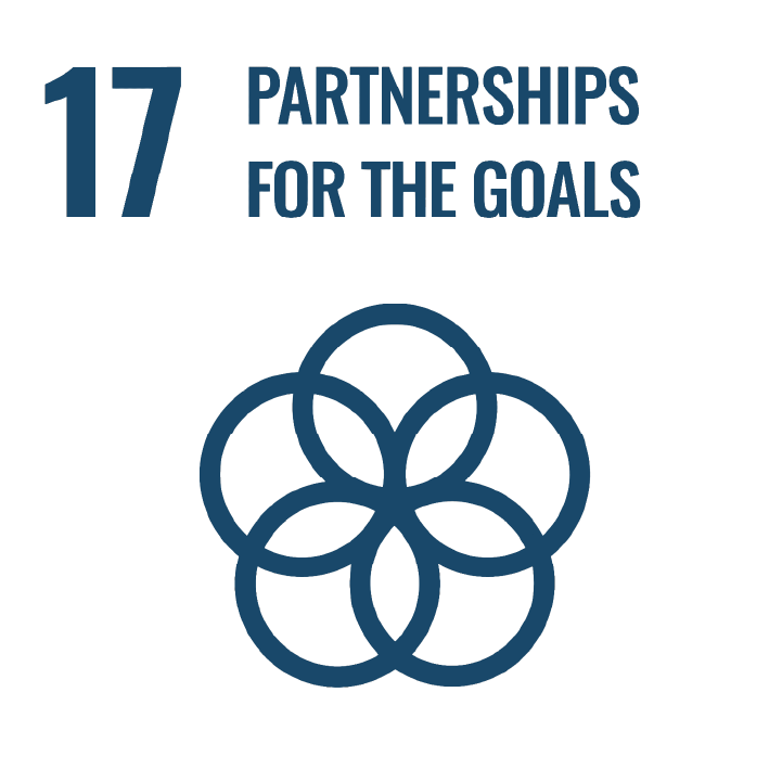 SDG 17